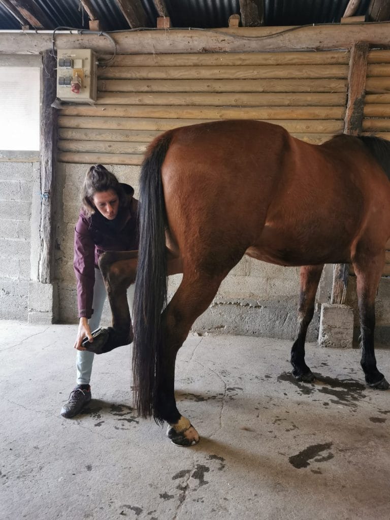 2 - Ostéo Animal'care