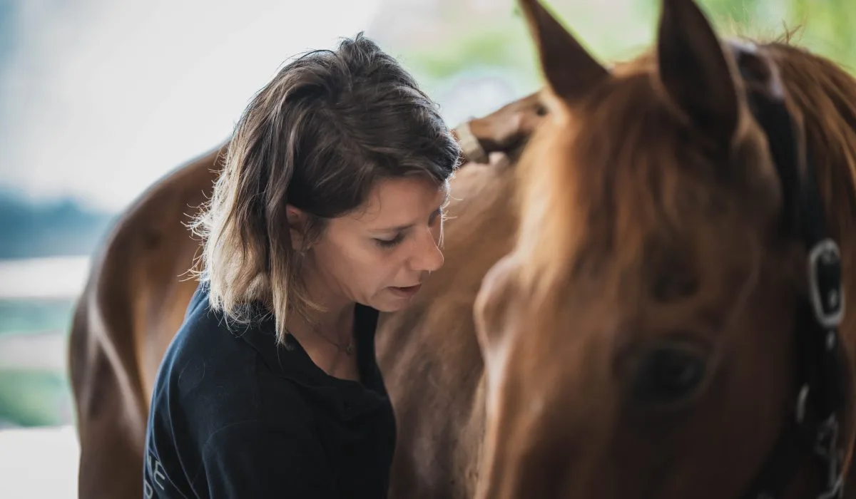 Ostéopathie pour animaux - ostéopathe équin