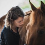 Ostéopathie pour animaux - ostéopathe équin