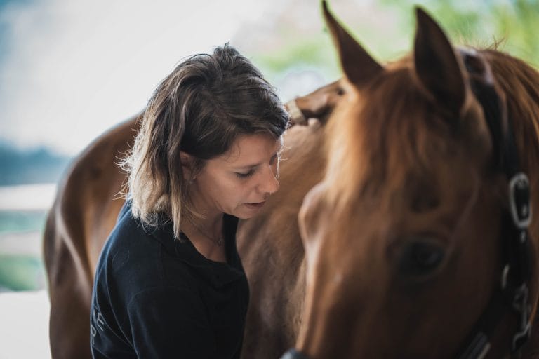Ostéopathie pour animaux - ostéopathe équin