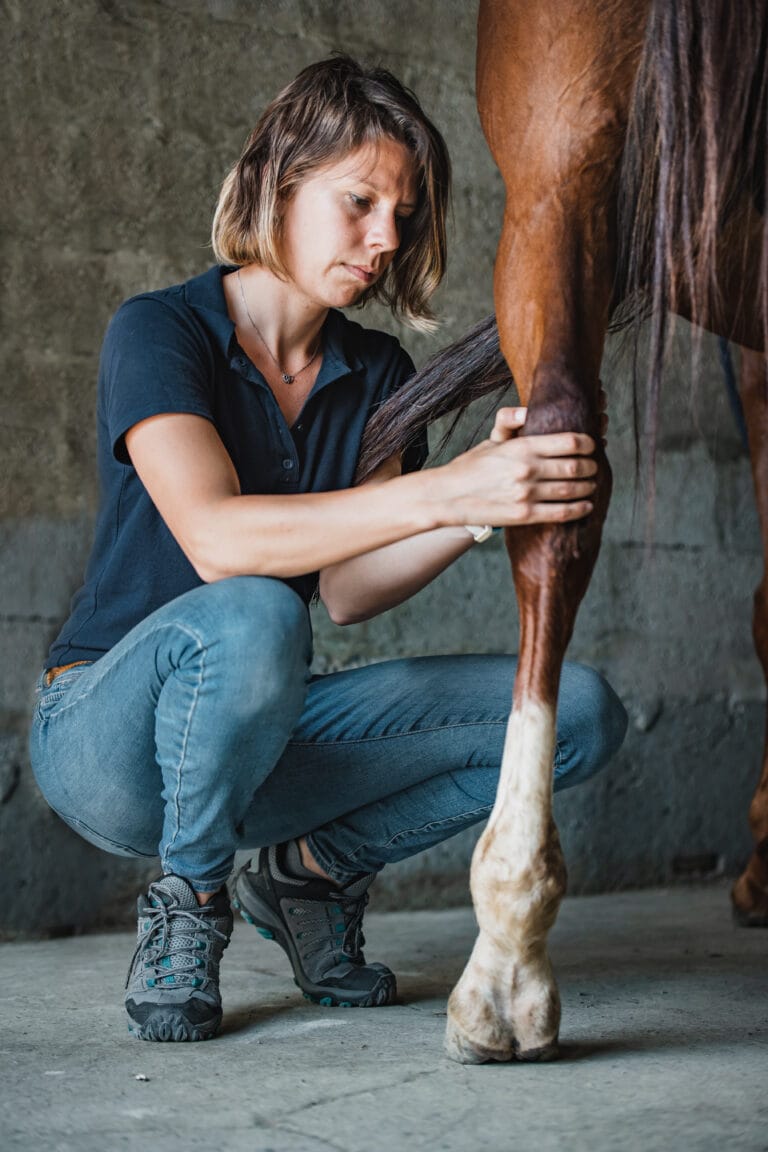 5c6a4329 - Ostéo Animal'care