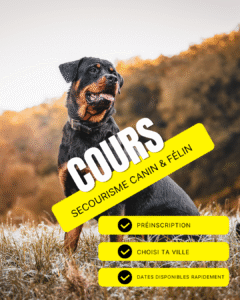 Post Instagram Jeu Concours Moderne Photo Blanc 1 - Ostéo Animal'care