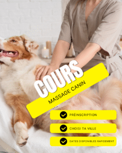 Post Instagram Jeu Concours Moderne Photo Blanc 2 - Ostéo Animal'care