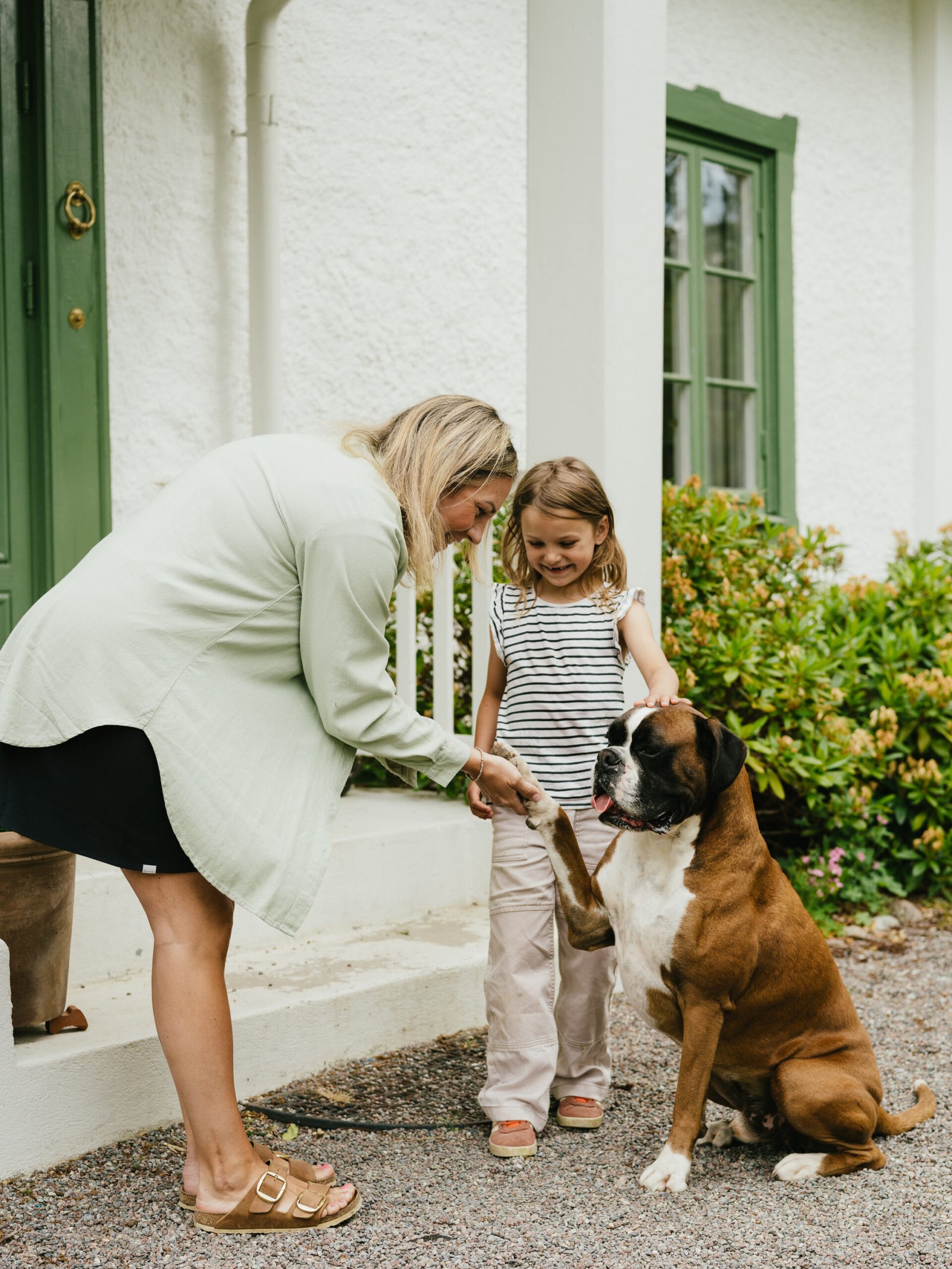 Nutrition Husse pour chiens et chats