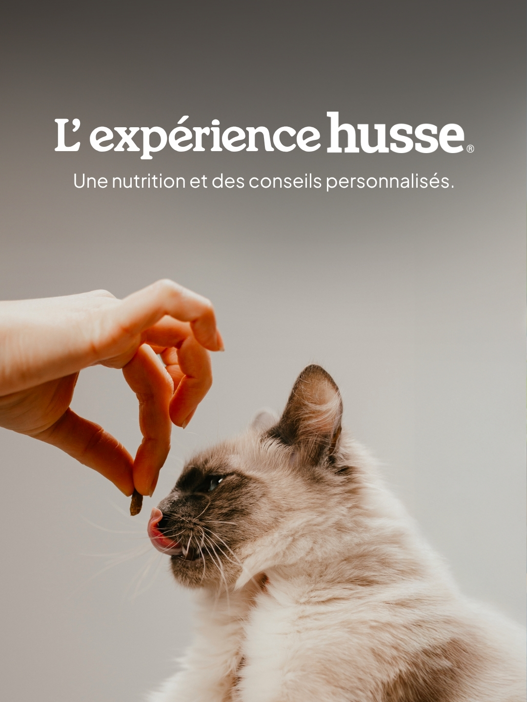 Croquettes chien Husse