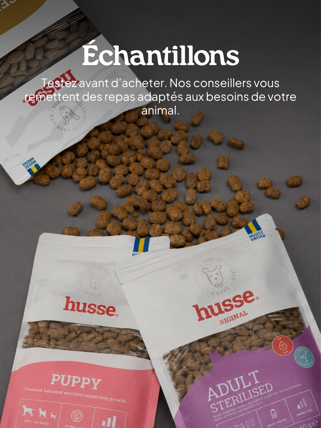 Nutrition chat Husse